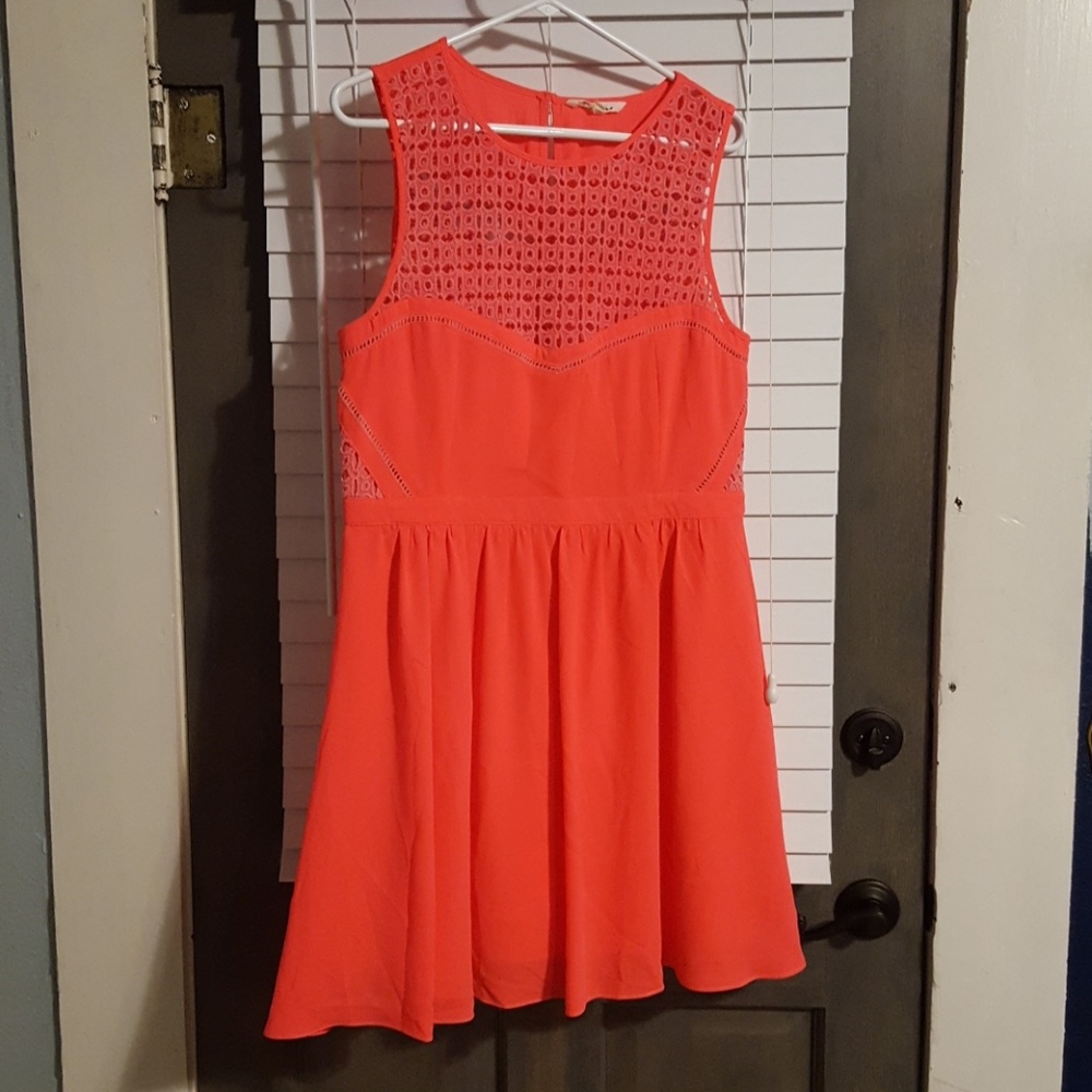 Cocktail Dress